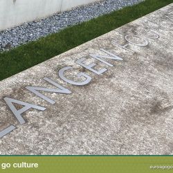Du  sseldorf go go culture design  architecture4