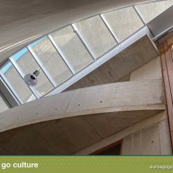 Du  sseldorf go go culture design  architecture8