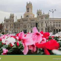 Madrid city9